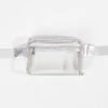 Althea Clear Belt Bag