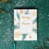 Bring On The Merry Book
