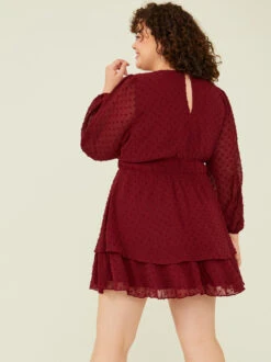 Adelyn Clipdot Dress -Deals Trending US Clothes Store 003041 PLD45320 018 BURGUNDY 02