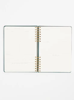 Deals Trending US Clothes Store -Deals Trending US Clothes Store 003065 JDW80 1003 ARU GREEN 01