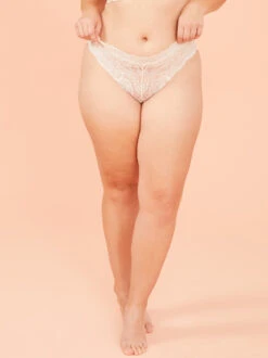 Stretch Lace Cheeky Undie -Deals Trending US Clothes Store 004141 ARPT22072 SAND DOLLAR 02